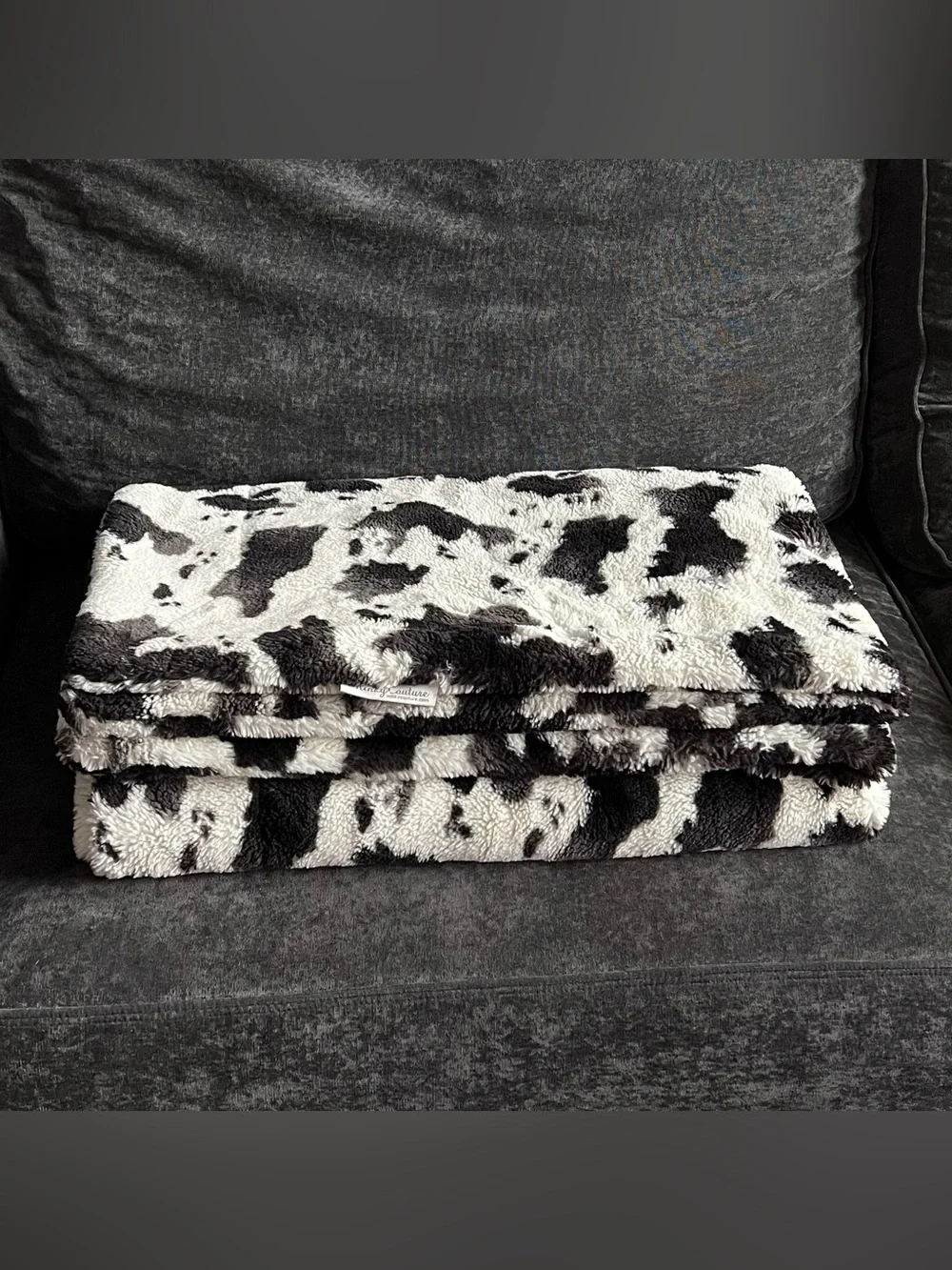 Minky Couture Urban Cowz Blanket- Adult Size